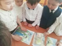 photogallery